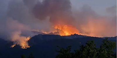 Antalya'da orman yangını: Havadan ve karadan müdahale ediliyor