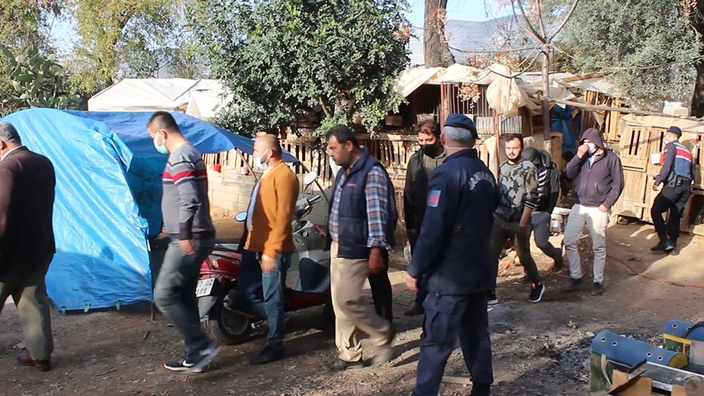 Antalya’da horoz dövüşü baskını: 22 gözaltı