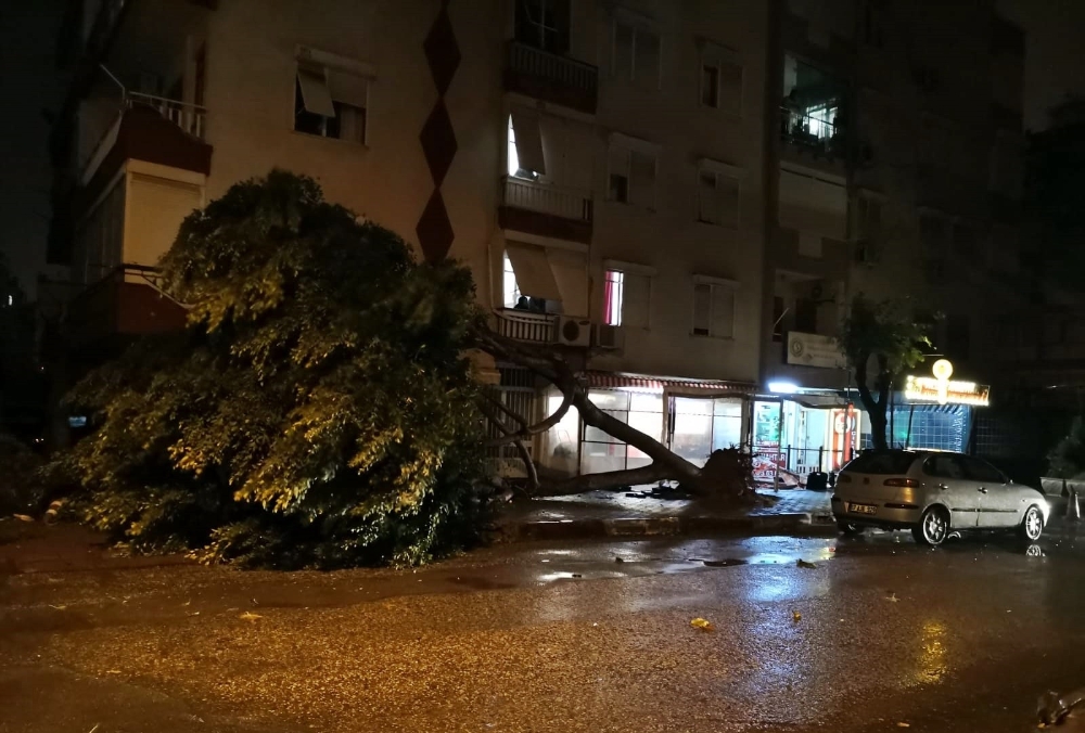 Antalya’da hortum ağaçları kökünden söktü, çatıları uçurdu