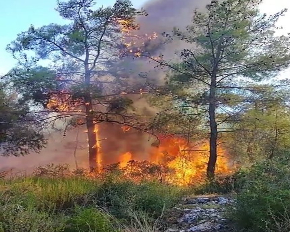 Antalya’daki orman yangını büyümeden söndürüldü