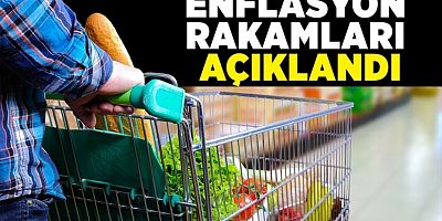 Aralık ayı enflasyon rakamları açıklandı