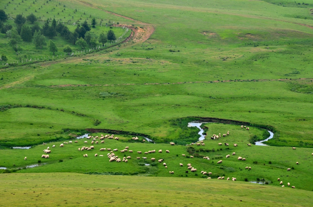 Arap Turistlerin Karadenizdeki Yatırımları Giderek Artıyor