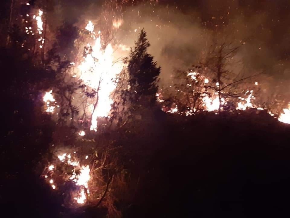 Arhavi’deki orman yangını kontrol altına alındı