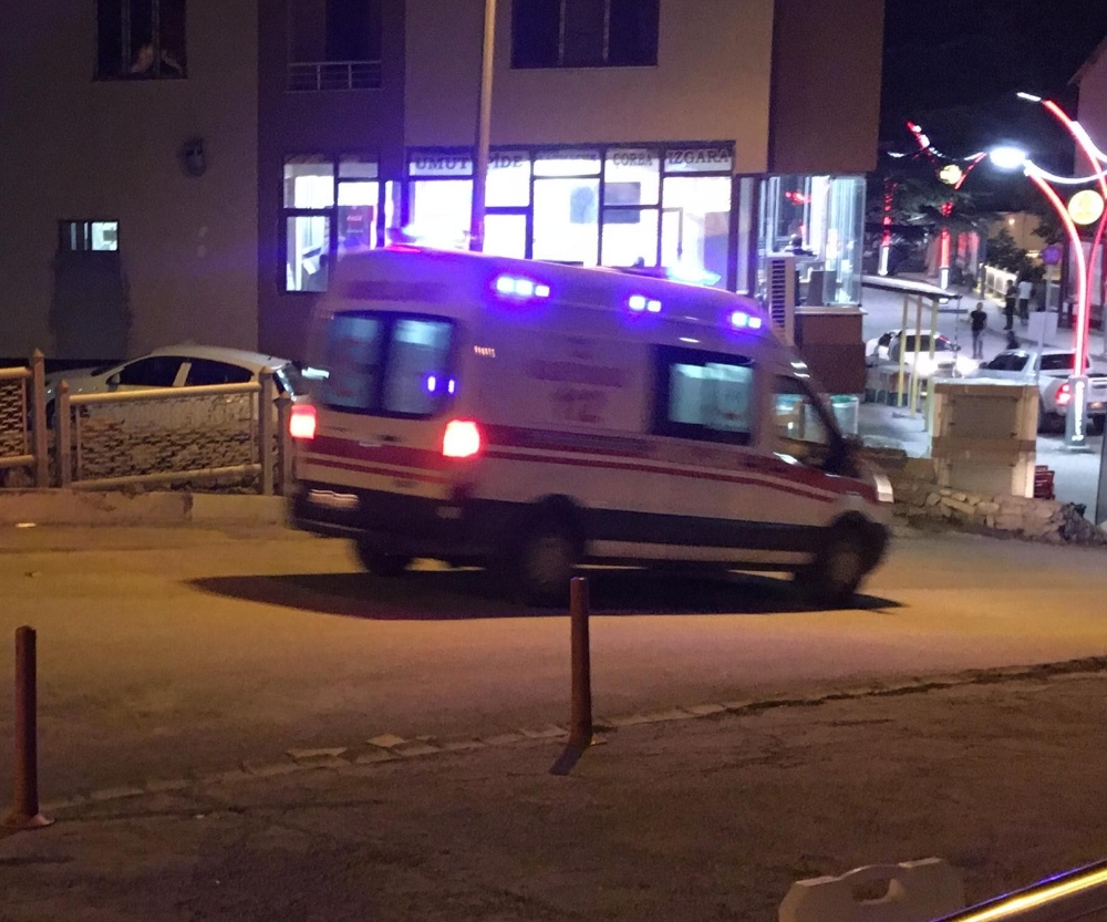 Arı saldırısına uğrayan şahıs hastanelik oldu