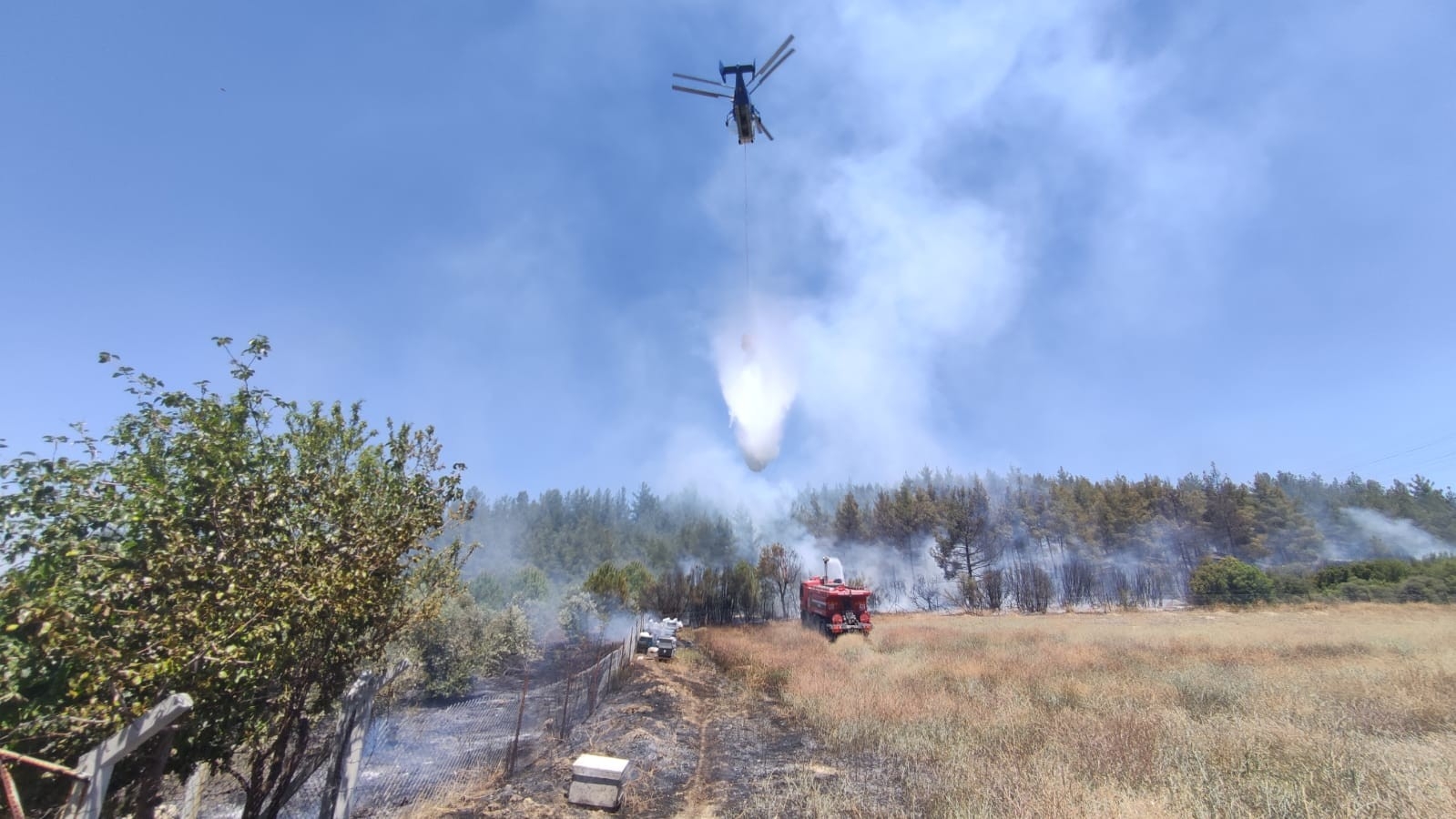 Arıcı hem kendini hem de ormanı yaktı
