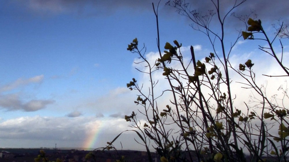 Arnavutköyde Gökkuşağı Sürprizi