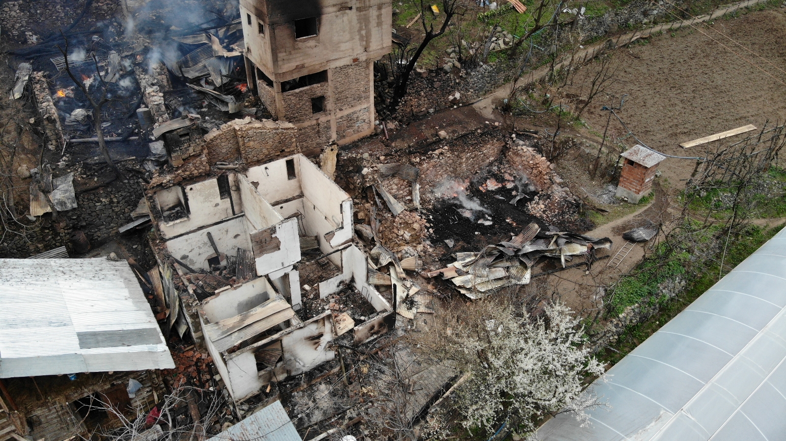 Artvin’de yangının boyutu gün ağarınca ortaya çıktı