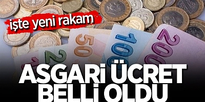 Asgari ücret 2 bin 825 TL oldu