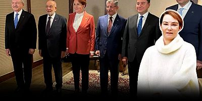 Aslı Baykal'dan altılı masaya eleştiri: İyi ki Erdoğan var