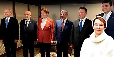 Aslı Baykal'dan 'özerklik' ve 'anadil' tepkisi: Bunları bir de iktidarda düşünsenize