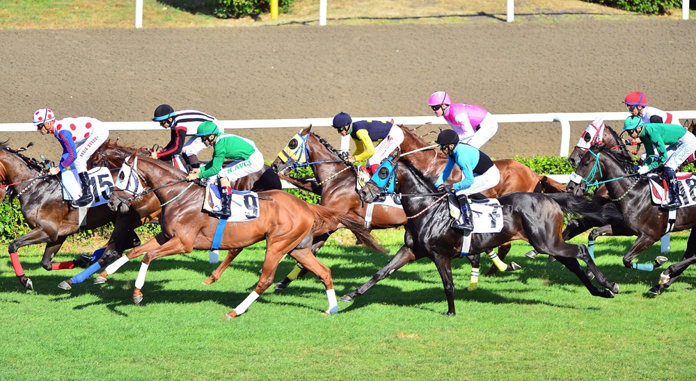 At yarışları ertelendi