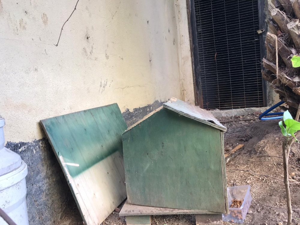 Ataşehirde Lüks Sitede Kedi Evi Tartışması
