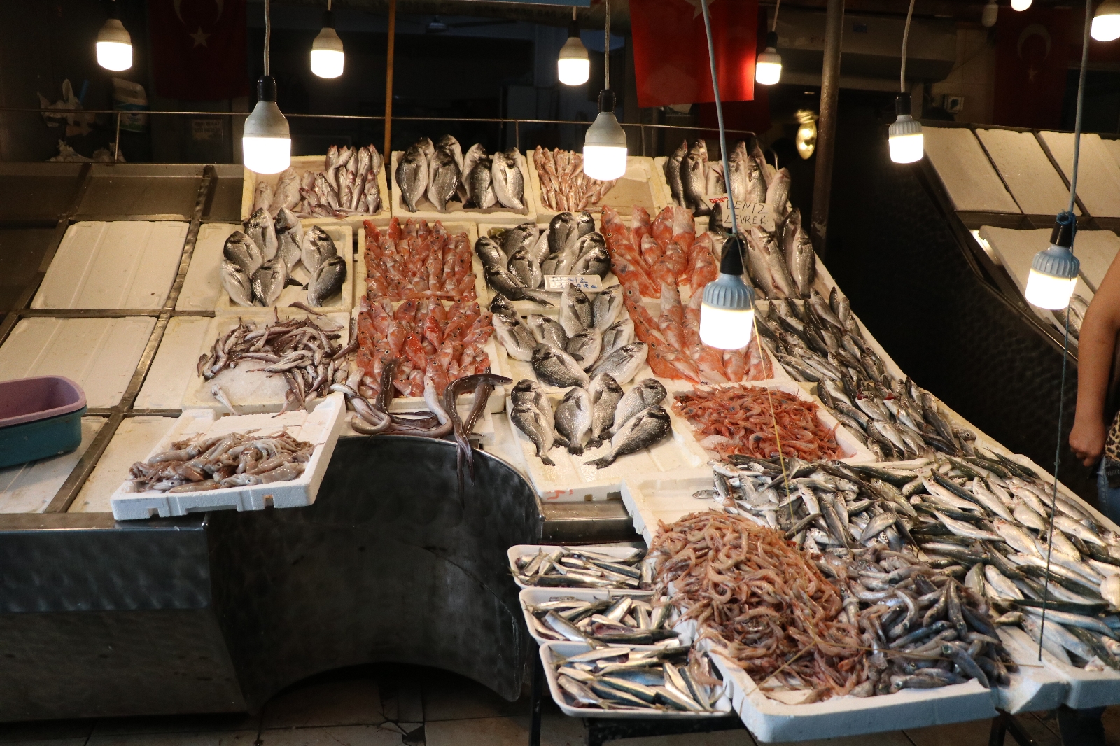 Av yasağıyla birlikte balıkta fiyatlar artmadı düştü