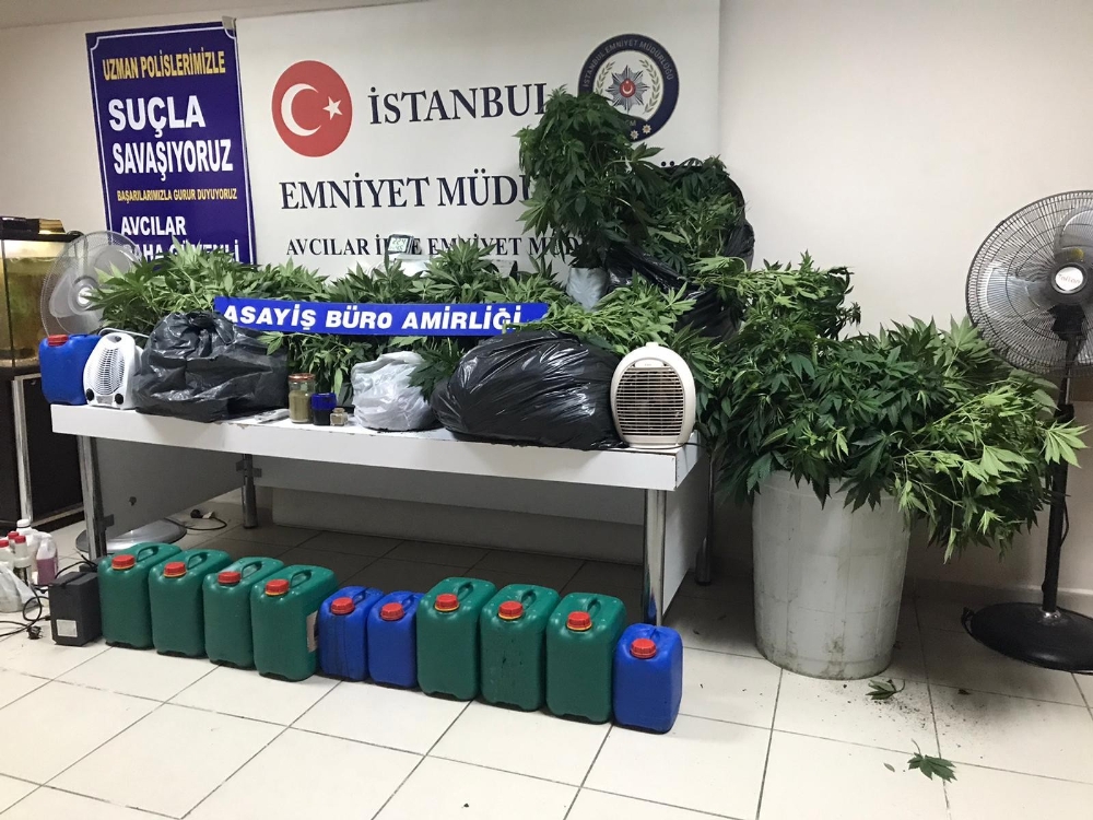 Avcılar’da uyuşturucu serasına dönüştürülen eve baskın