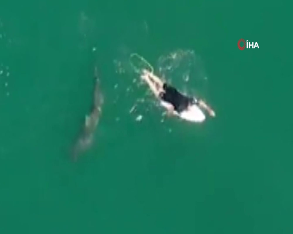 Avustralyalı sörfçü drone sayesinde köpek balığı saldırısından kurtuldu
