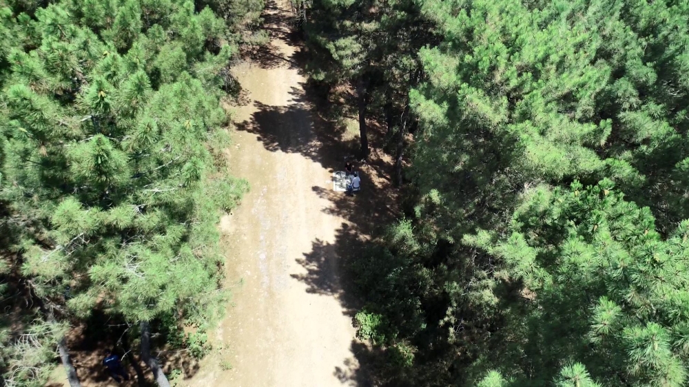 Aydos ormanında dronelu mangal denetimi