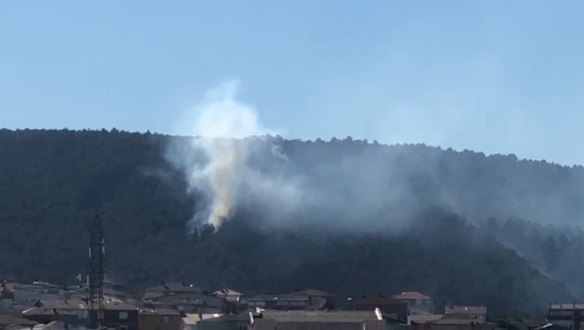 Aydos Ormanı’nda korkutan yangın