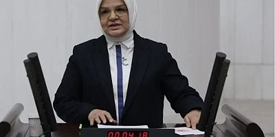 Ayşe Keşir: Türkiye’de doğurganlık hızı kritik eşiğin altında