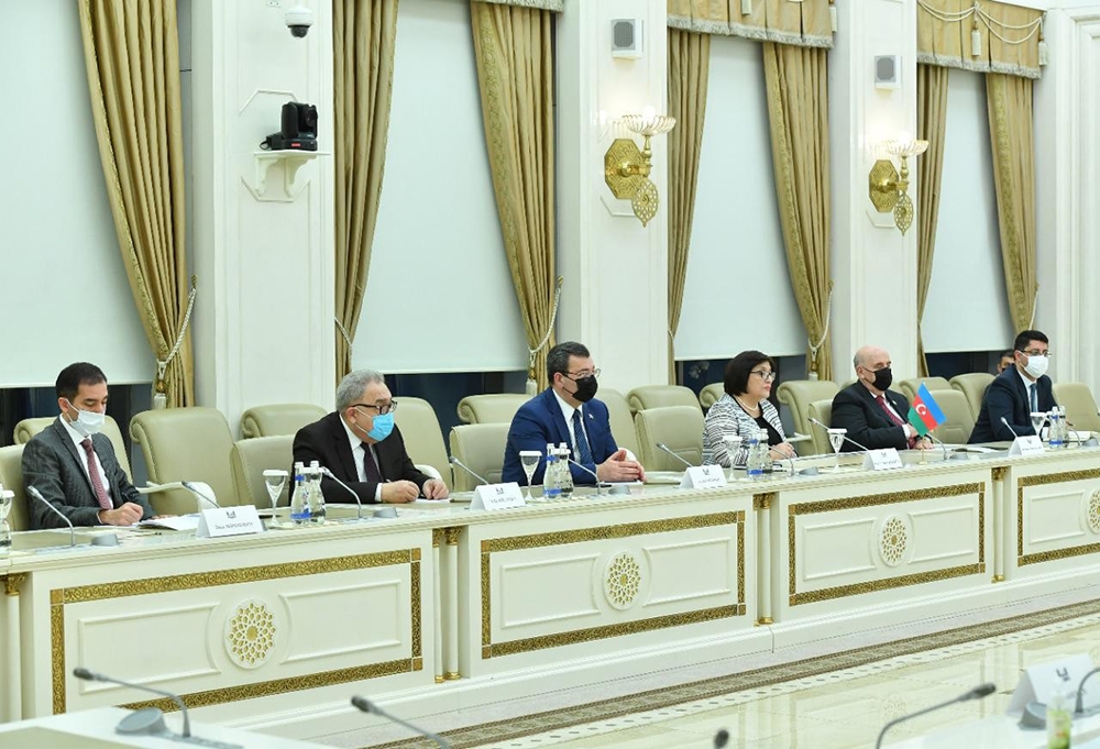 Azerbaycan Milli Meclis Başkanı Gafarova, TBMM Dışişleri Komisyonu Başkanı Kılıç ile görüştü