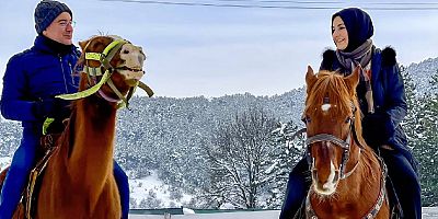 Babacan’ı Londra'da Kraliyet ailesine kim götürdü?