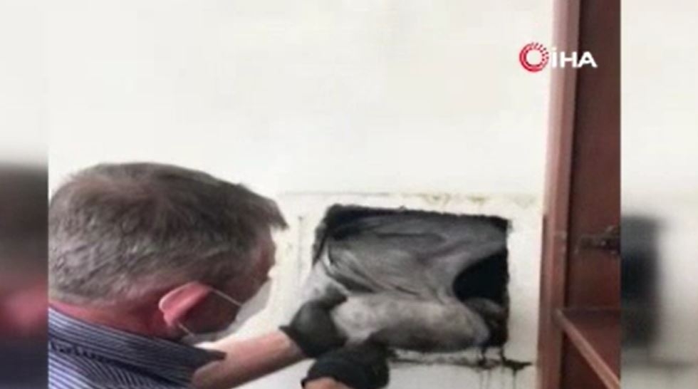 Bacaya sıkışan martıyı site sakini kurtardı