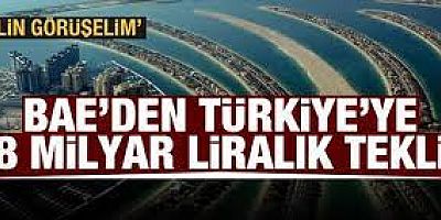 BAE'den Türkiye'ye 38 milyar liralık yatırım daveti