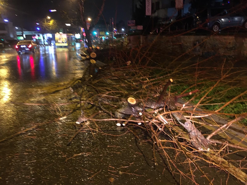 Bağdat Caddesi’nde şiddetli sağanak ve rüzgar nedeniyle ağaç devrildi