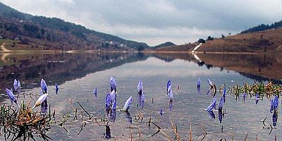 Baharın ikinci müjdecisi yolda: Cemre suya düşecek