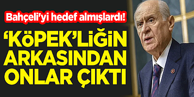 Bahçeli'yi hedef alan 'Köpek'liğin arkasından onlar çıktı