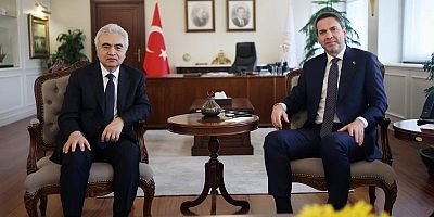 Bakan Bayraktar, Uluslararası Enerji Ajansı Başkanı Birol ile görüştü