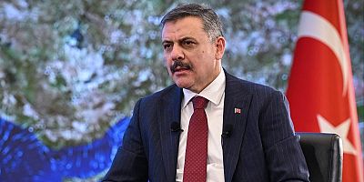 Bakan Çiftçi'den sahipsiz hayvanlara ilişkin açıklama: Tavizsiz ve zaruri