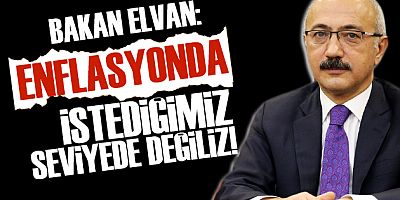 Bakan Elvan: Enflasyonda maalesef istediğimiz seviyede değiliz