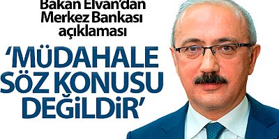 Bakan Elvan: 'Merkez Bankası'na müdahale söz konusu değildir'