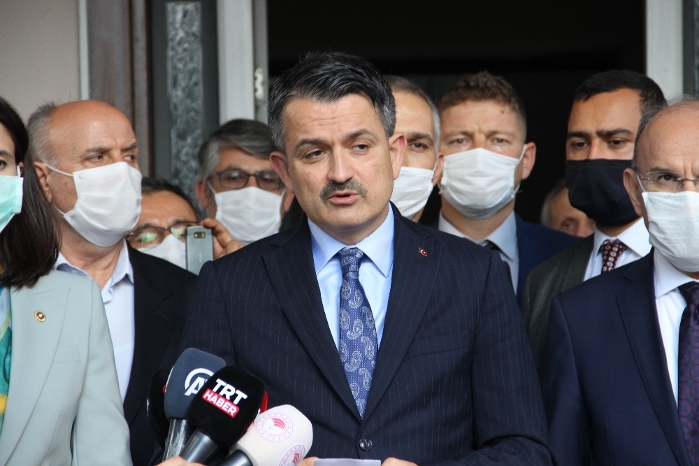 Bakan Pakdemirli: “18 yılda Bosna-Hersek kadar büyük bir alan ağaçlandırıldı”
