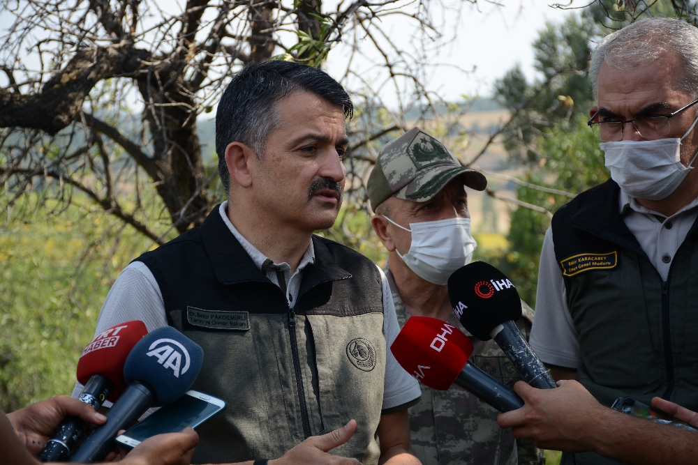 Bakan Pakdemirli: Çanakkale’deki orman yangını kontrol altına alındı