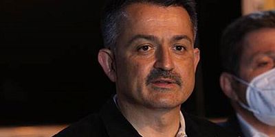Bakan Pakdemirli, orman yangınlarına ilişkin son durumu paylaştı