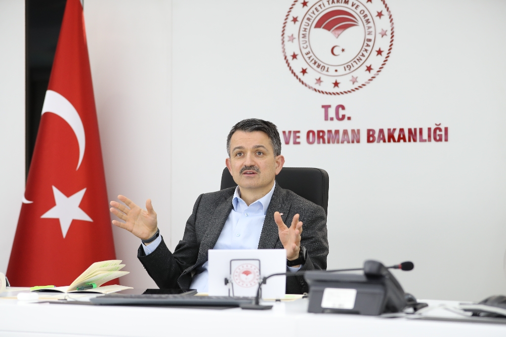 Bakan Pakdemirli, video konferans aracılığıyla TZOB danışma kurulu toplantısına katıldı