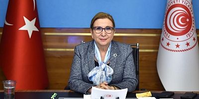 Bakan Pekcan: 'Hedefimiz AB'ye tam üyelik'