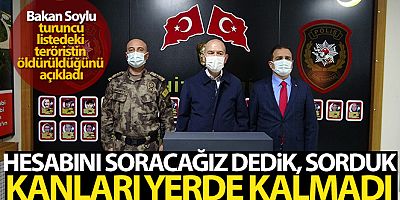 Bakan Soylu: 'Çukurca'da 3 sivili katleden turuncu listedeki terörist öldürüldü'