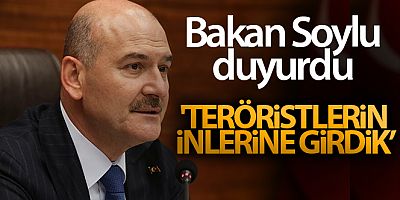 Bakan Soylu: 'Teröristlerin inlerine girdik'