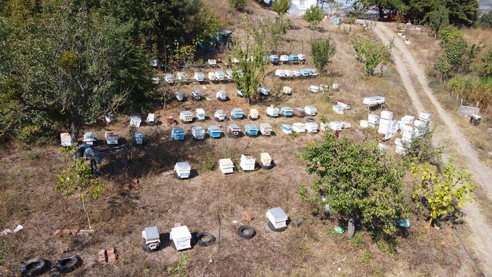 Bakanlıktan, Mustafakemalpaşa bal ormanına onay