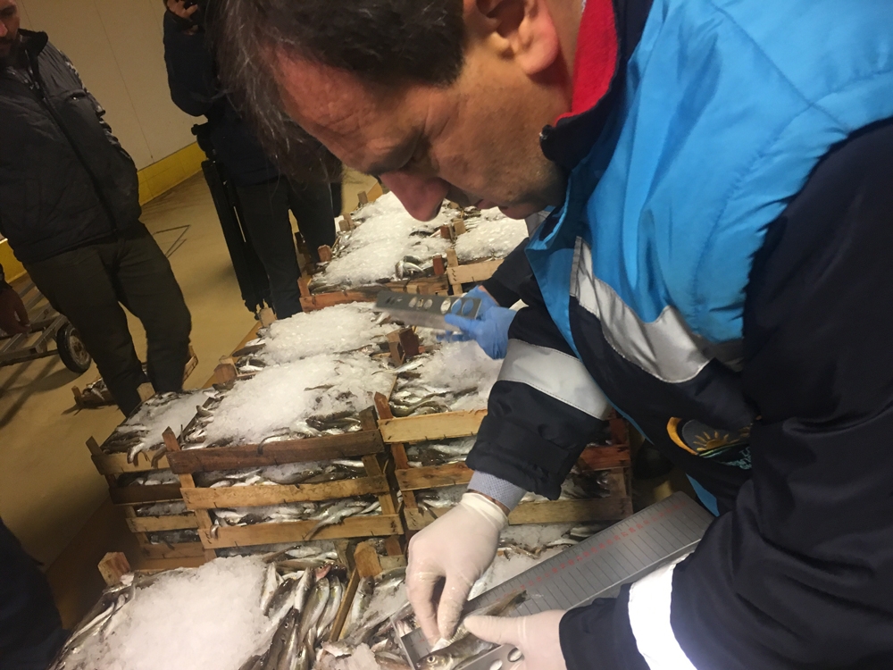 Balık Denetiminde 13 Ton Balığa El Konuldu