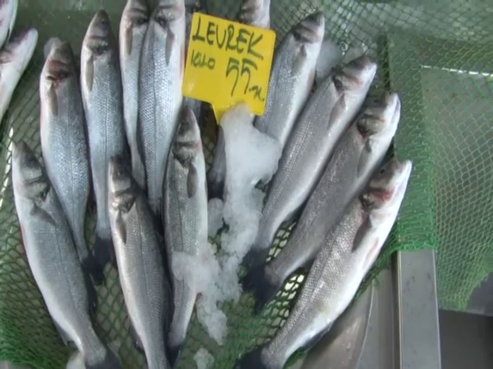 Balık satıcıları odası yönetim kurulu üyesi Balcı: “ Her balıktan balıkçının yüzü güldü”