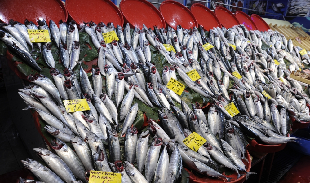 Balık tezgahlarında palamut bolluğu yaşanıyor
