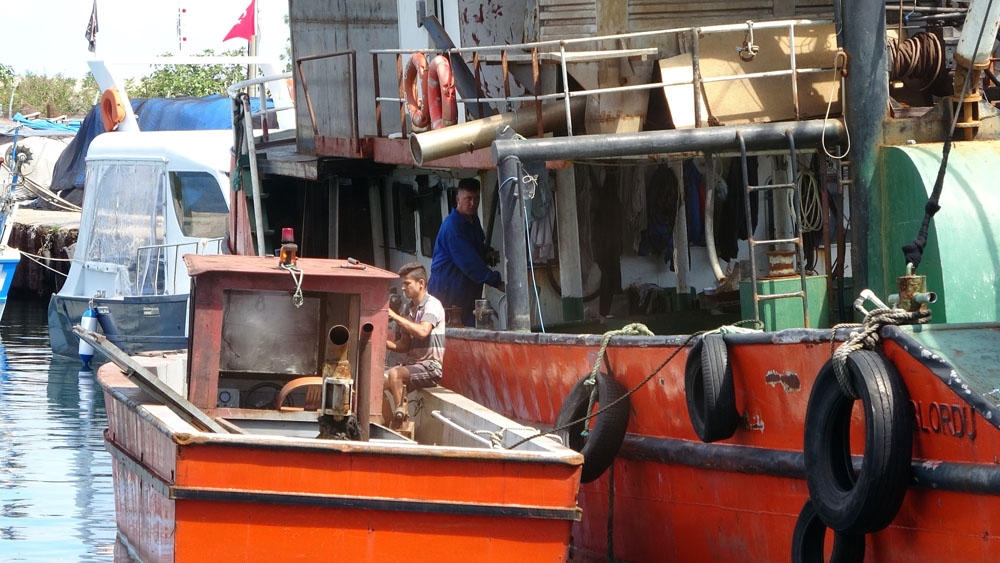 Balıkçılar yeni sezondan umutlu