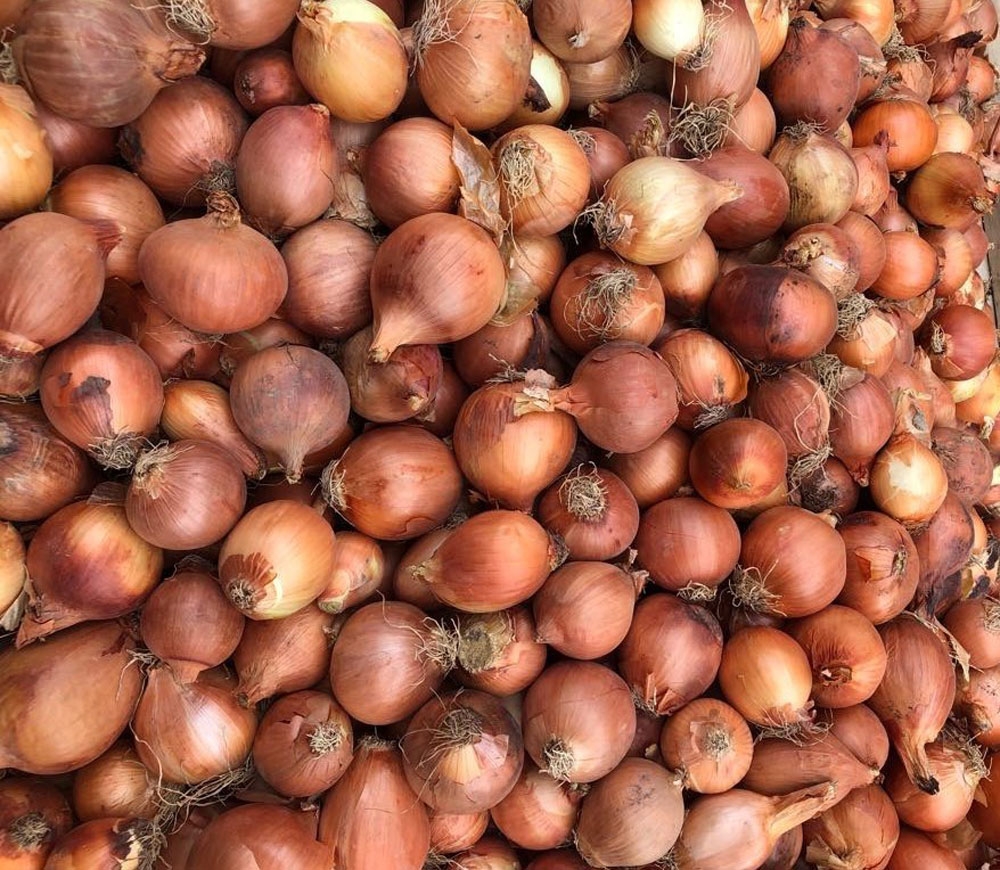 Bangladeşte Soğan Krizi