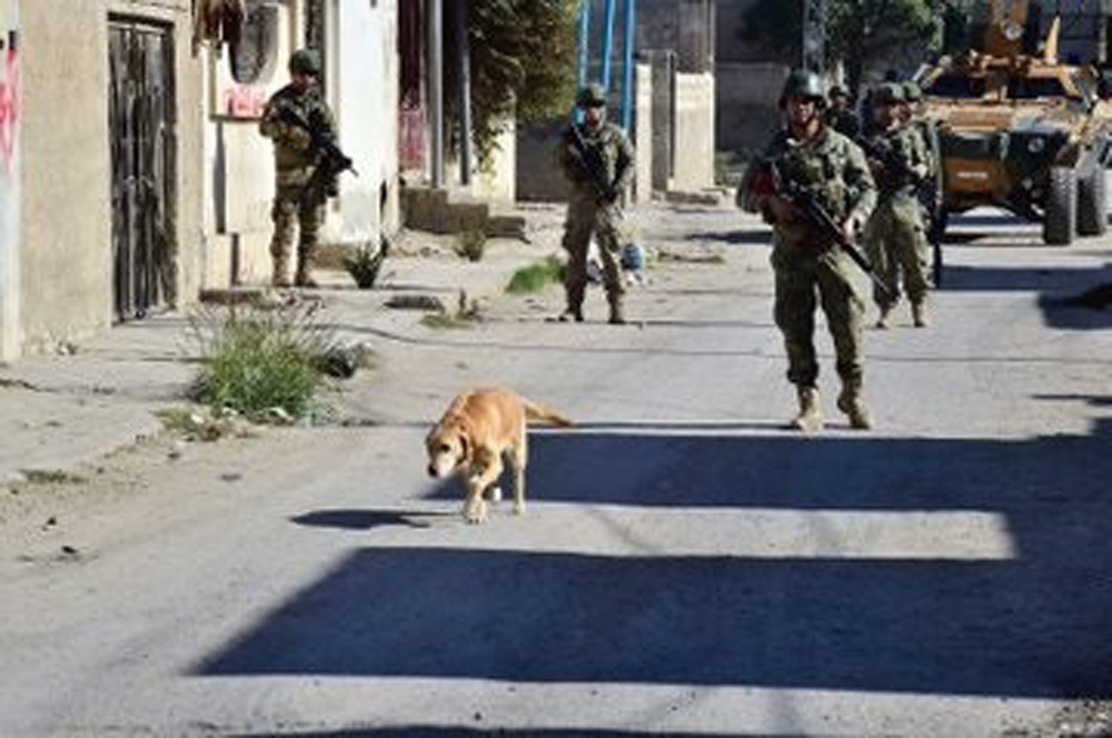 Barış Pınarı Harekat Bölgesinde Şimdiye Kadar 923 Eyp Ve 337 Mayın Etkisiz Hale Getirildi”