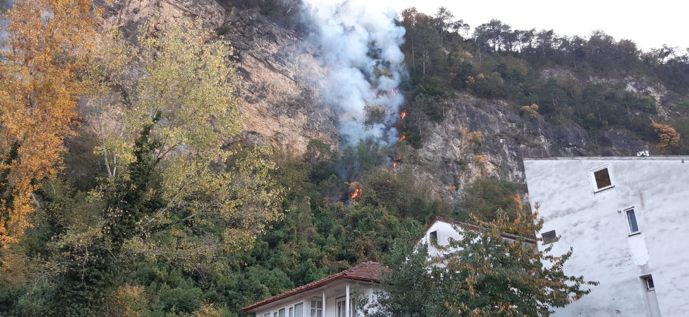 Bartında Orman Yangını Köyü Tehdit Ediyor