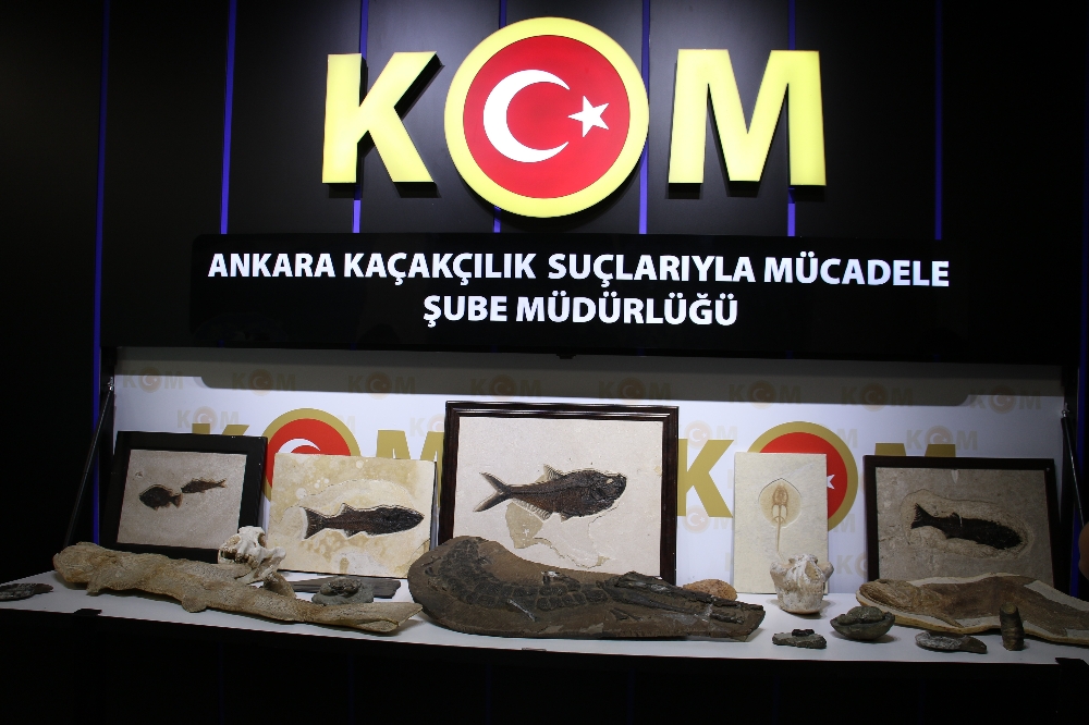 Başkent’te Adnan Oktar örgütüne 10 milyon dolarlık fosil kaçakçılığı operasyonu