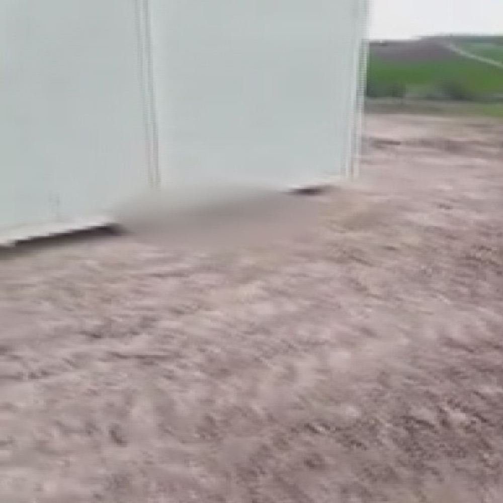 Başkent’te çok sayıda ölü köpek yavrusu bulundu
